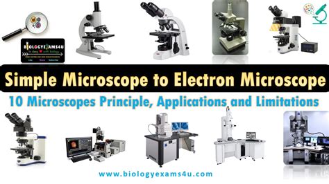 microscope mmoga|A Beginner’s Guide to Different Types of Microscopes.